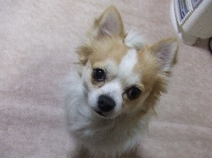 DSCF8690.JPG