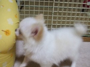 DSCF8716.JPG