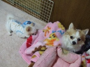 DSCF8767.JPG