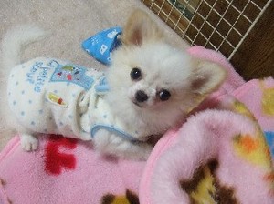 DSCF8777.JPG