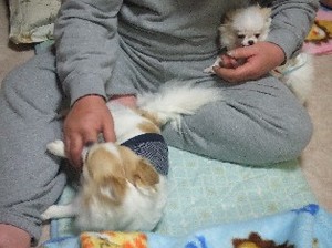 DSCF8788.JPG
