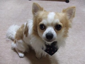 DSCF8835.JPG