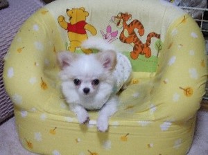 DSCF8867.JPG