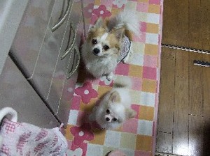 DSCF9036.JPG