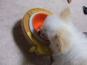 DSCF9051.JPG