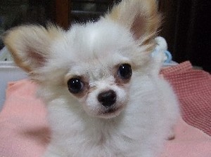 DSCF9056.JPG