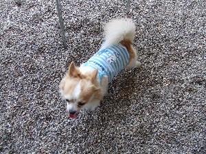 DSCF9063.JPG