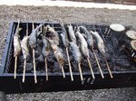 DSCF9070.JPG