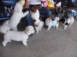 DSCF9085.JPG