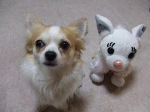 DSCF9139.JPG