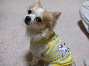 DSCF9230.JPG