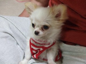 DSCF9241.JPG