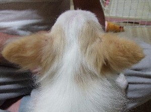 DSCF9934.JPG