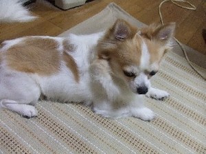 DSCF9954.JPG