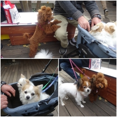 2ハルニ.jpg
