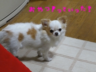 4QHXq.jpg