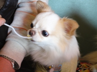 DSC00876.JPG