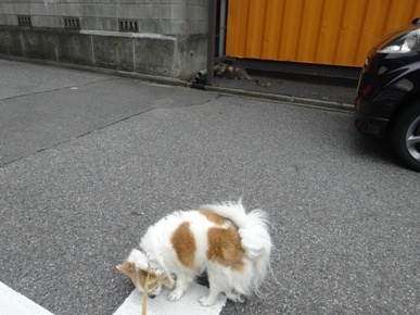 DSC00889.JPG