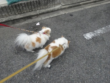 DSC00904.JPG