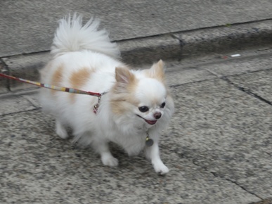 DSC00913.JPG