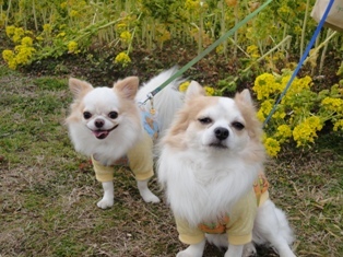 DSC00917.JPG
