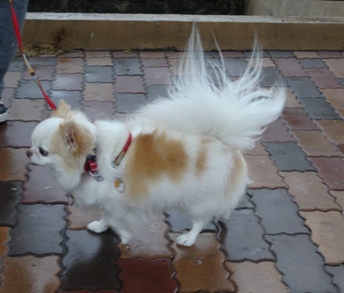 DSC01052.JPG
