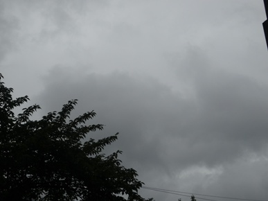 DSC01072.JPG