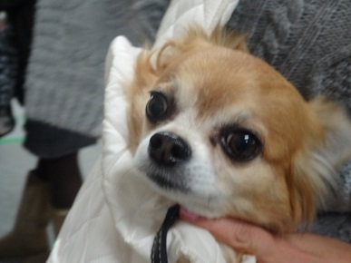 DSC01240.JPG