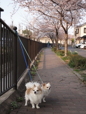 DSC01332.JPG