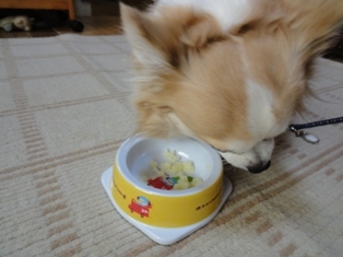 DSC01400.JPG
