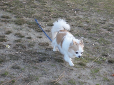 DSC01501.JPG