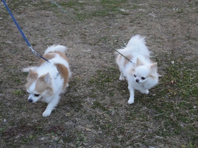 DSC01517.JPG