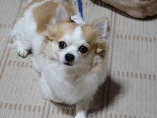 DSC01784.JPG