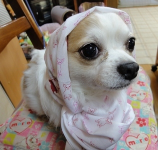 DSC01842.JPG