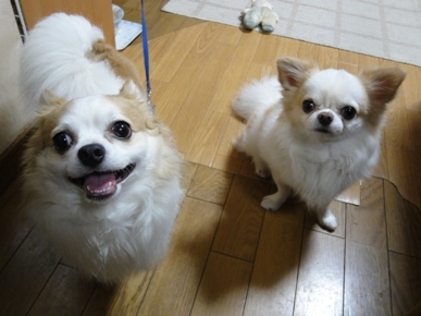 DSC02358.JPG