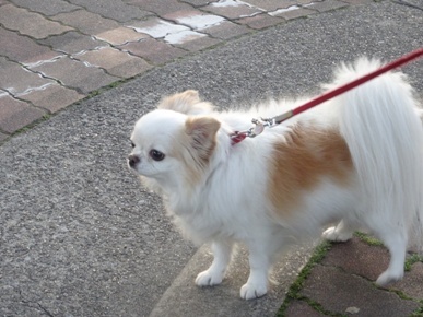 DSC04176.JPG
