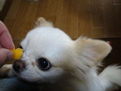 DSC04195.JPG