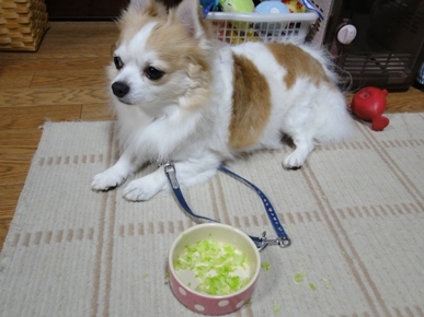 DSC04532.JPG