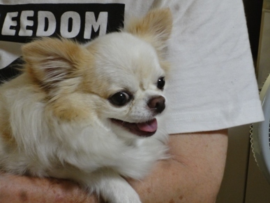 DSC04778.JPG