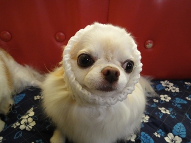 DSC04831.JPG