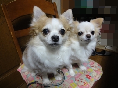 DSC05558.JPG