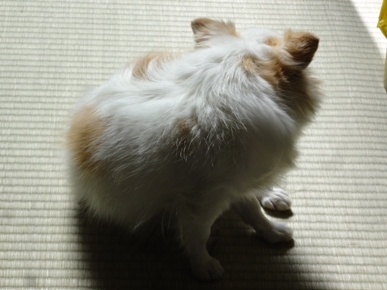 DSC05771.JPG
