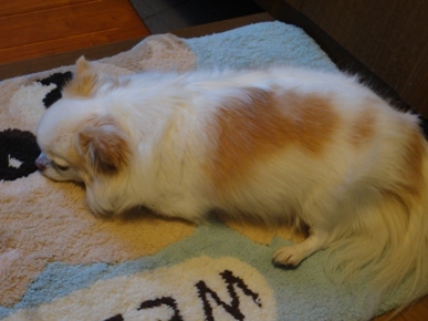 DSC05786.JPG