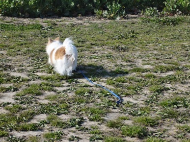 DSC07003.JPG