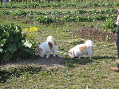 DSC07006.JPG