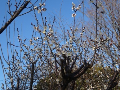 DSC07177.JPG