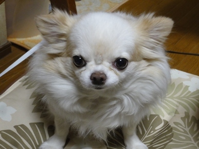 DSC07207.JPG