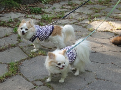 DSC07850.JPG