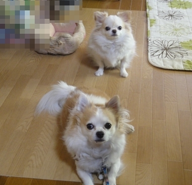 DSC07853.JPG