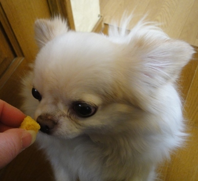 DSC07872.JPG